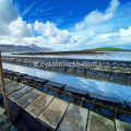 4mm Diamond Oyster Aquaculture Floats